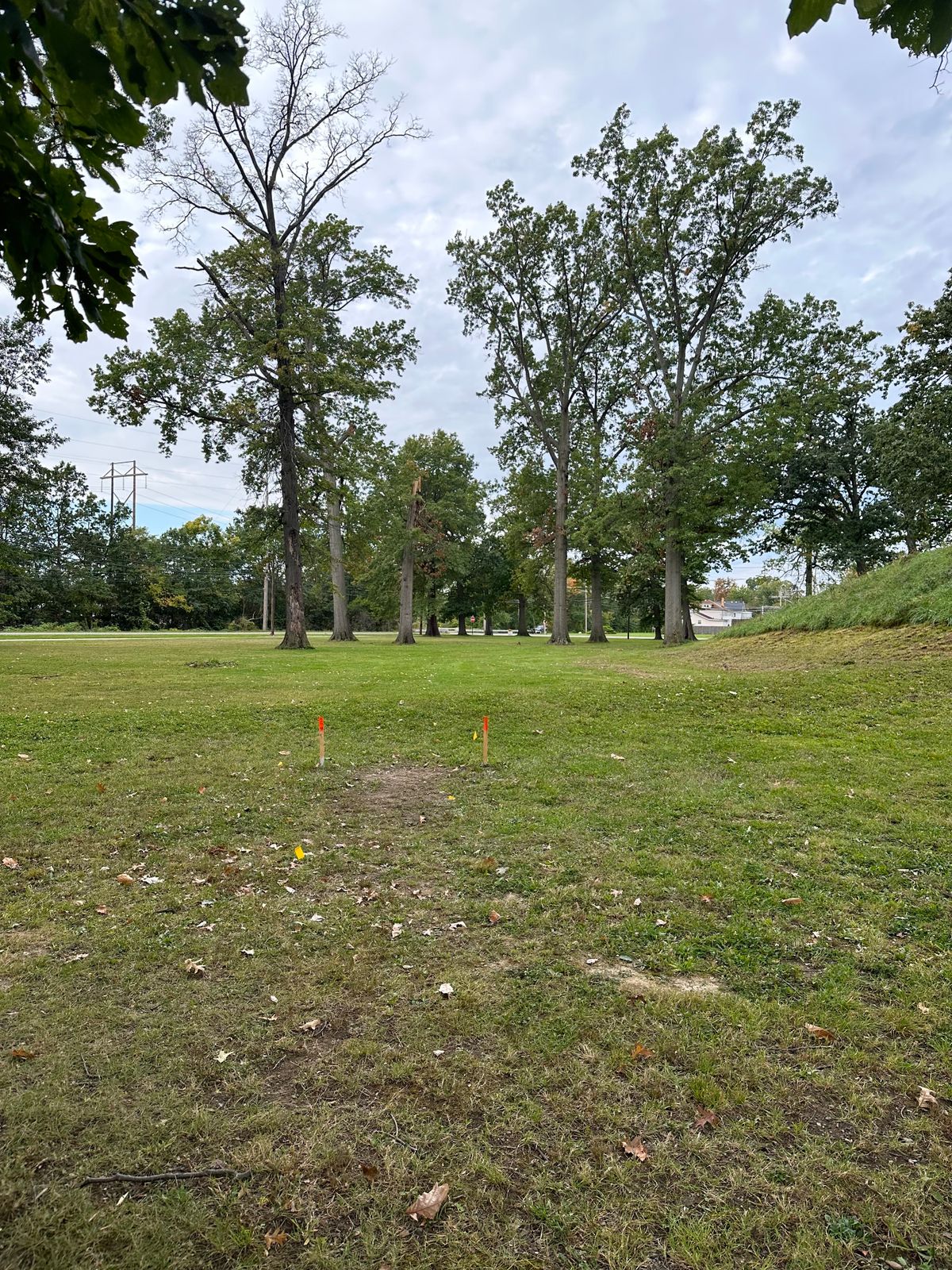 Pretty wide open driver throws, trees make it difficult if there’s wind.
