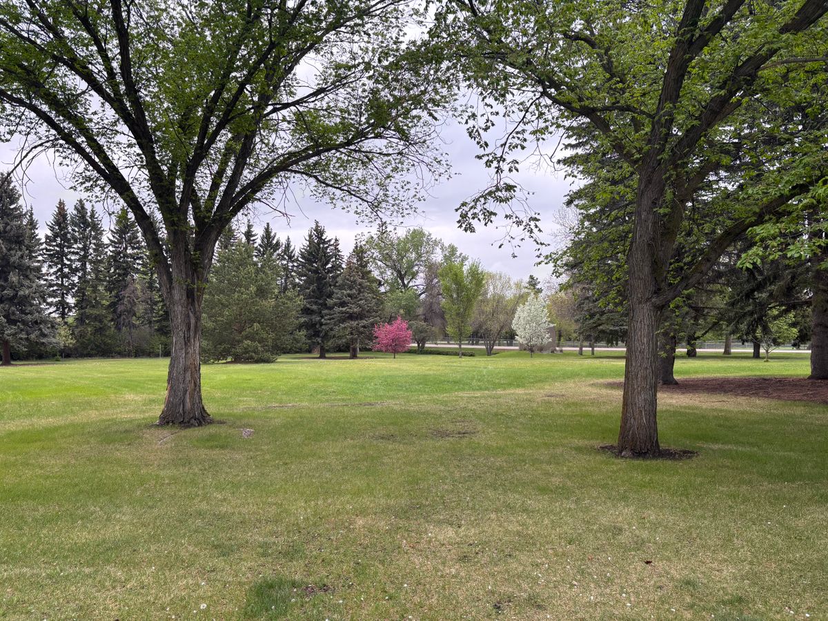 Hole 17 fairway, the photo just doesn’t do it justice how pretty it is in Spring!!