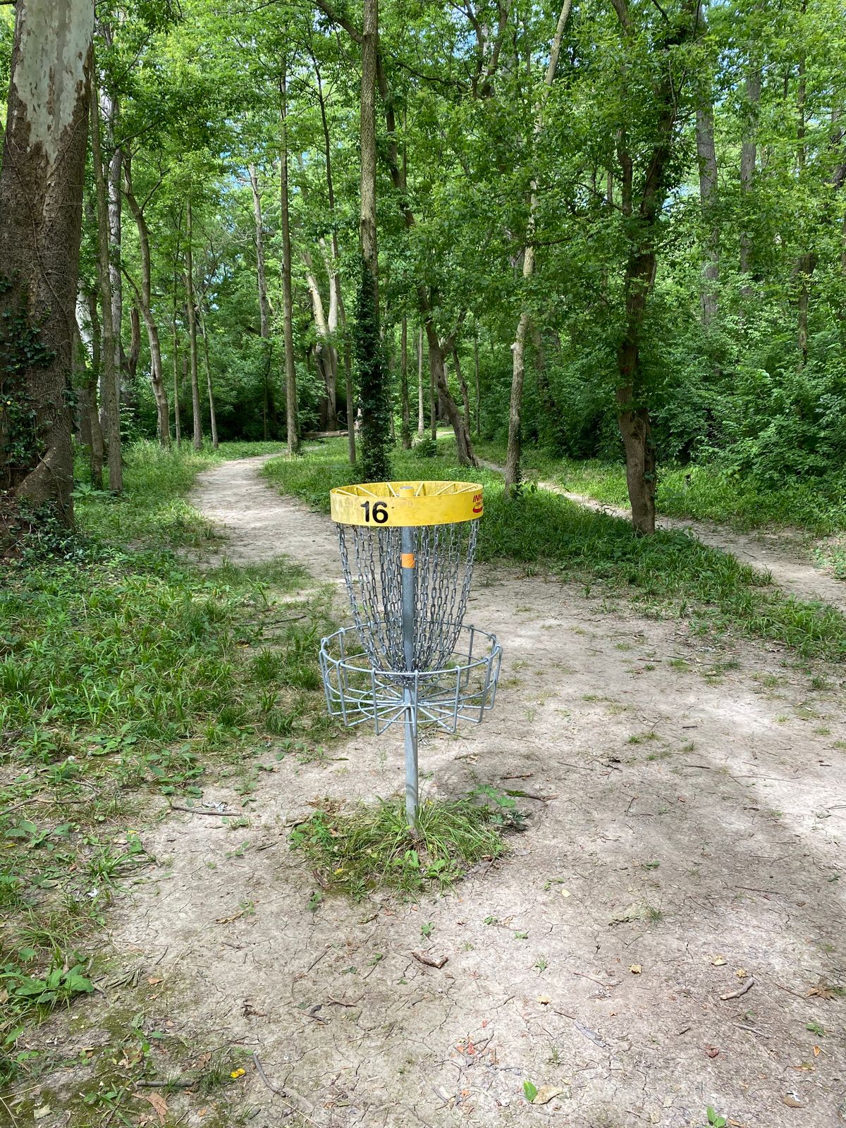 Hole 16 (Reverse)