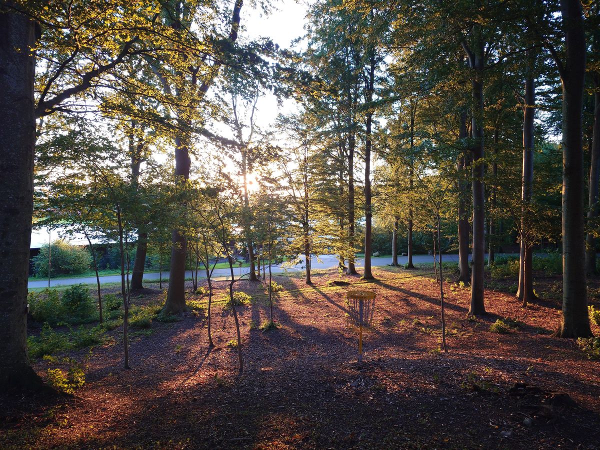 Hål 8, Skog