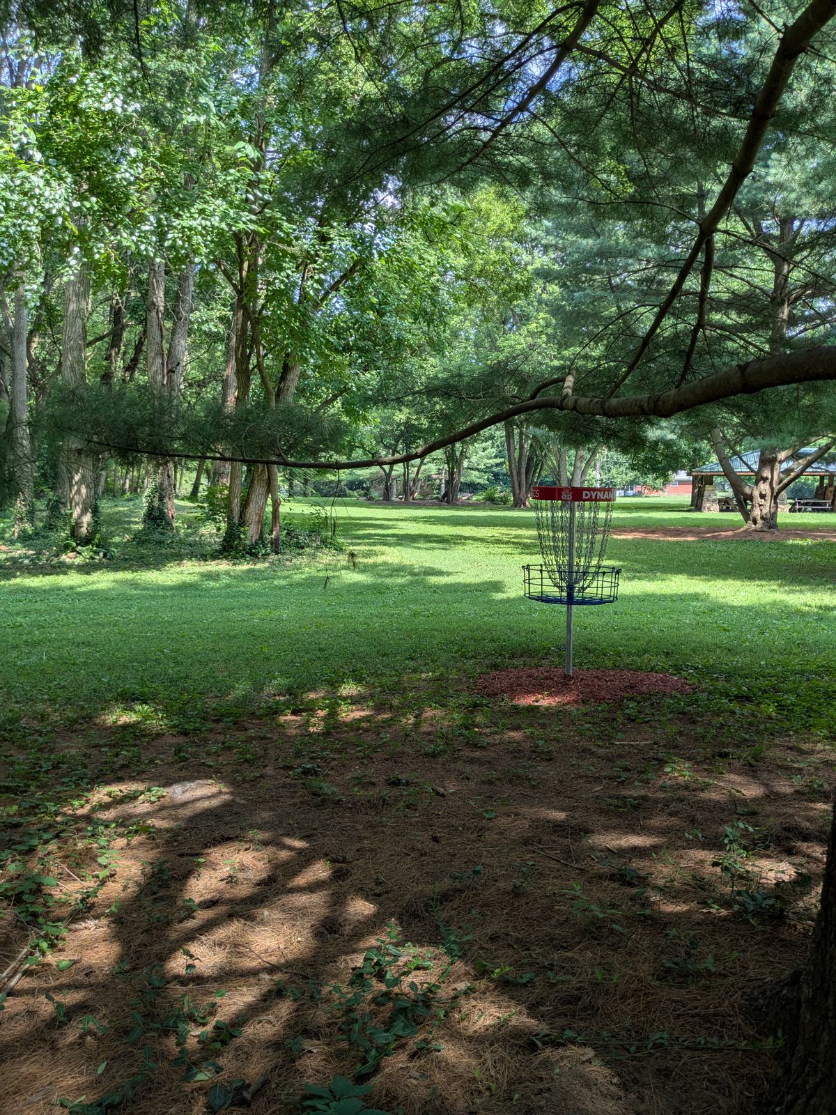 #5 Basket to Tee