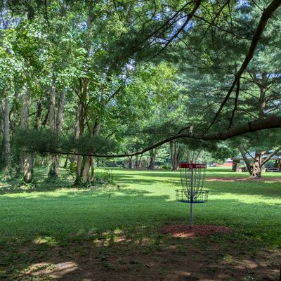 #5 Basket to Tee
