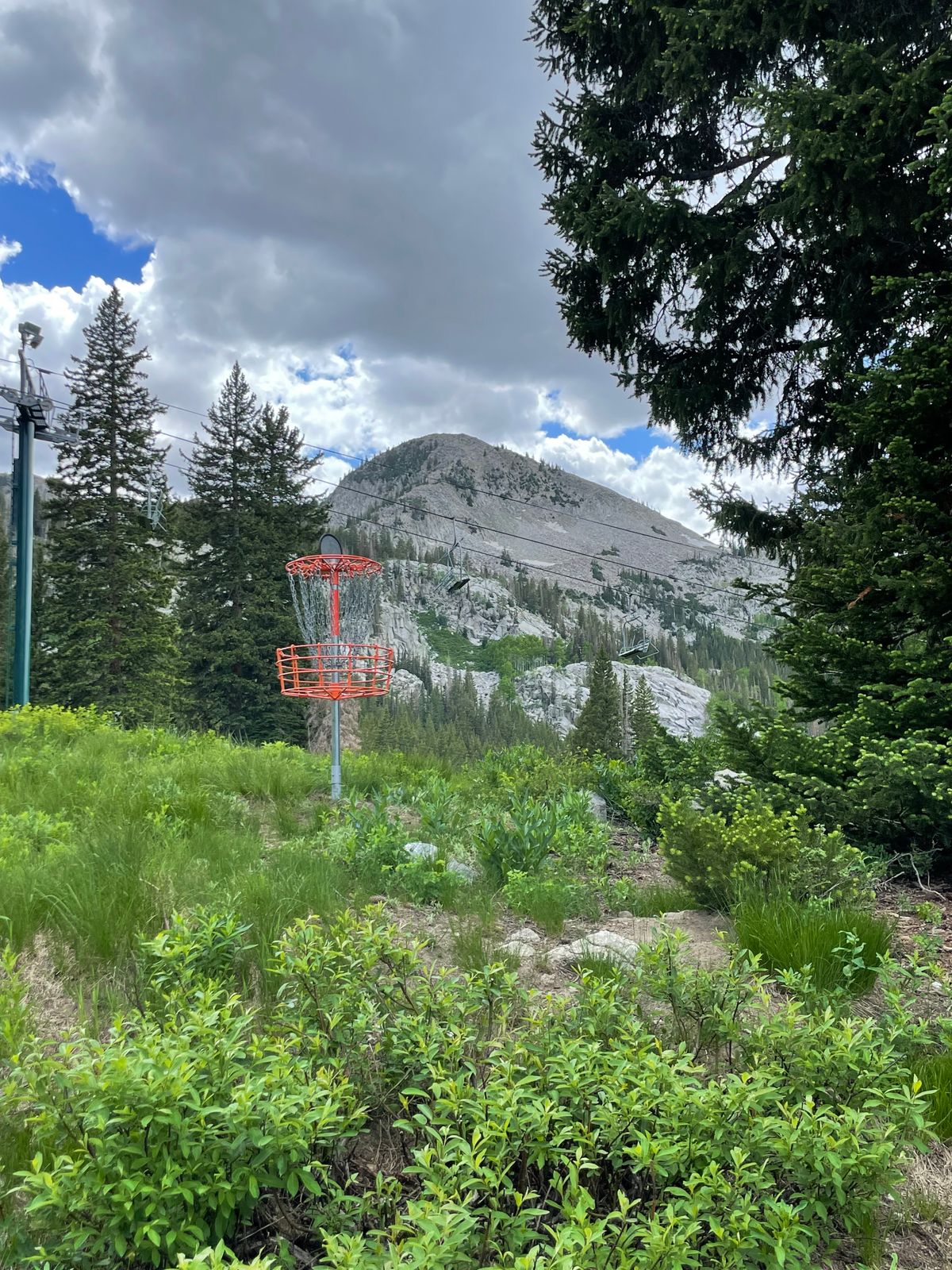 Hole 8’s green