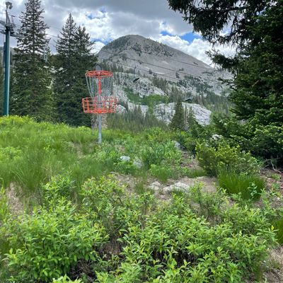 Hole 8’s green