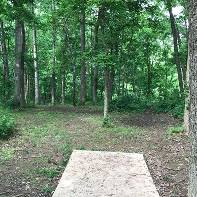 Hole 8