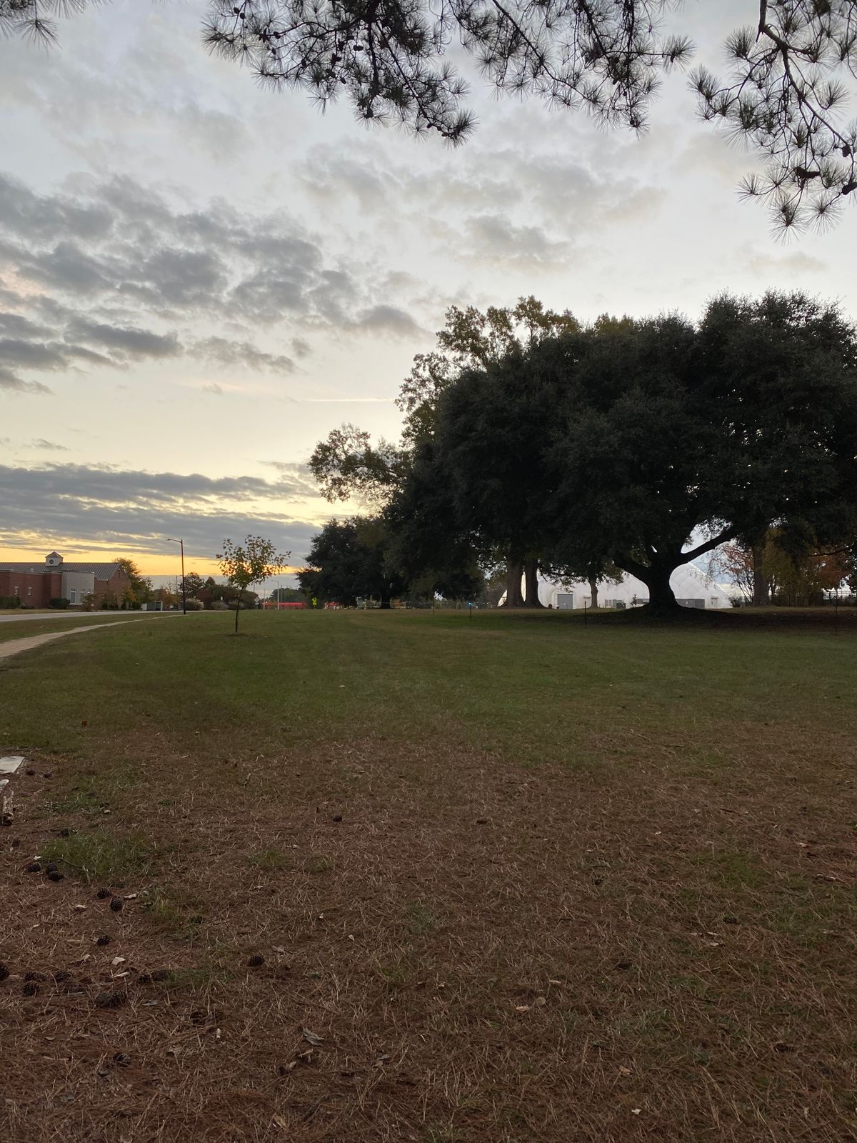 Hole 6
