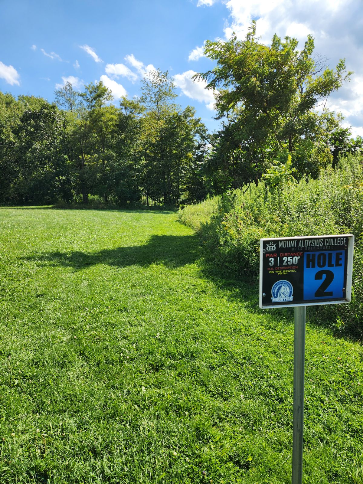 Hole 2 tee box. Throw toward small grove of trees