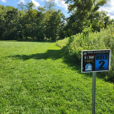Hole 2 tee box. Throw toward small grove of trees