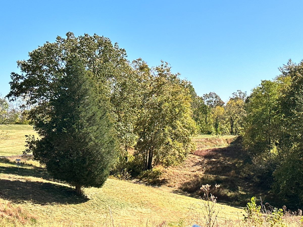 Hole 16 (reverse view)