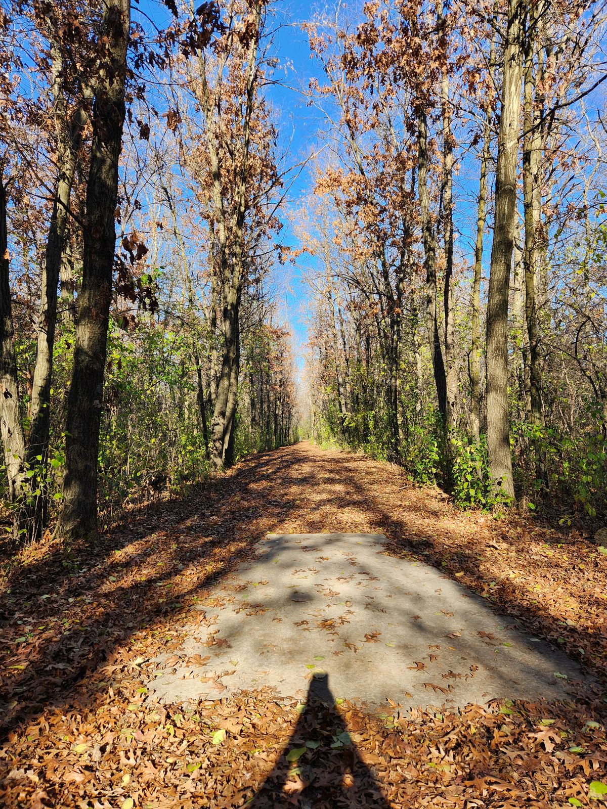 Hole 10 short Nov. '24