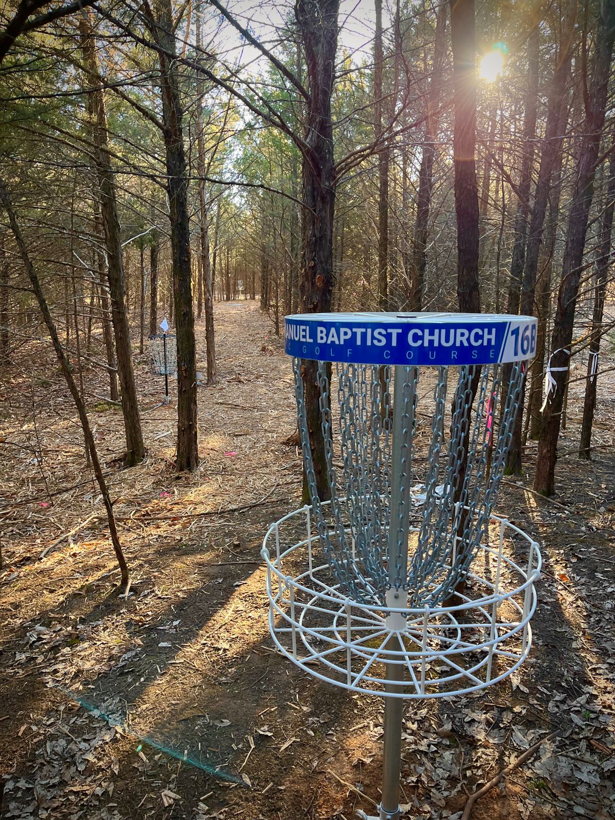 Hole 16 is super tightly wooded
