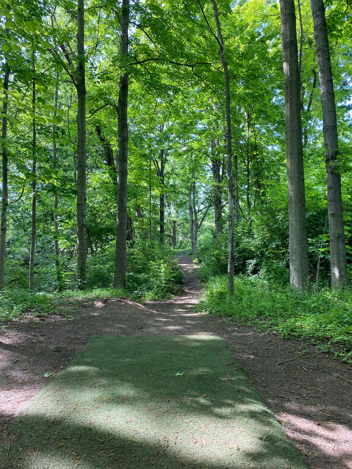 Hole 14
