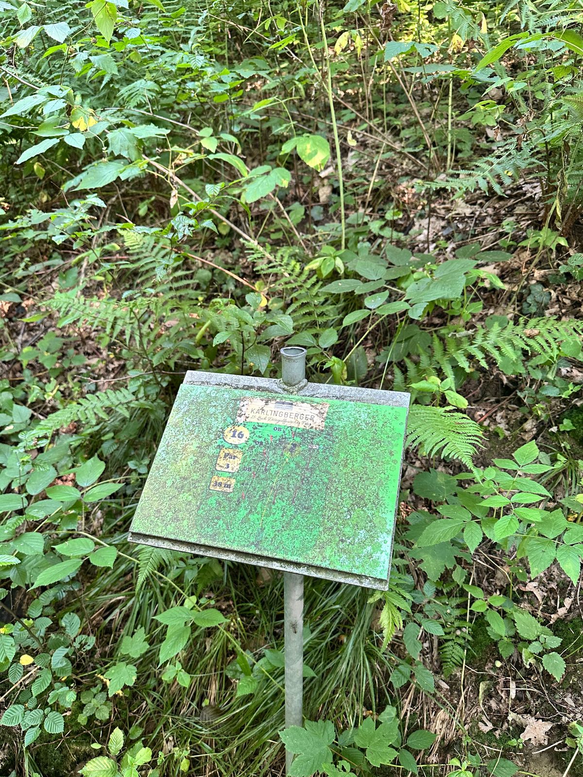 Hole 16 needs upkeep