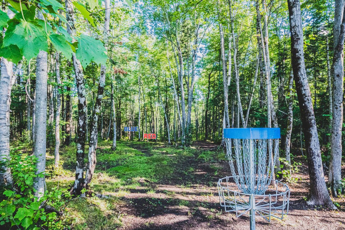 Hole 6 Basket looking towards tees. 