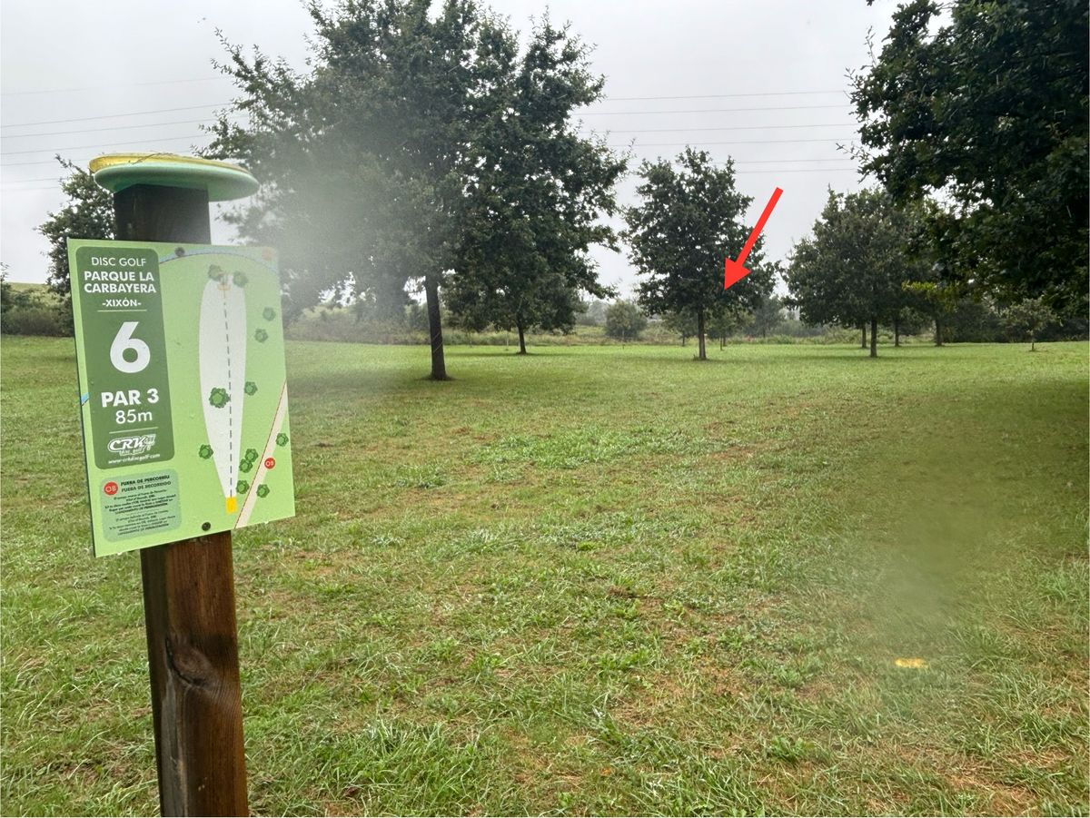 #6 / basket location (arrow)