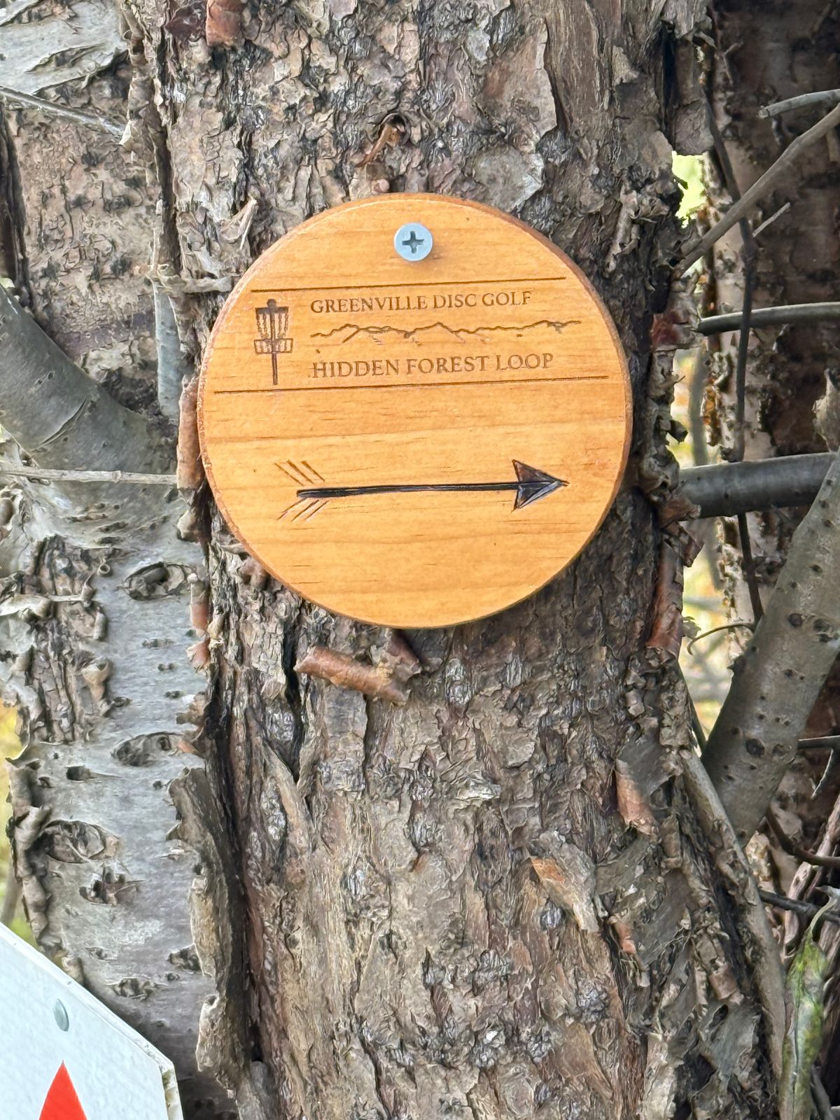 Look for these 4” markers for directions.