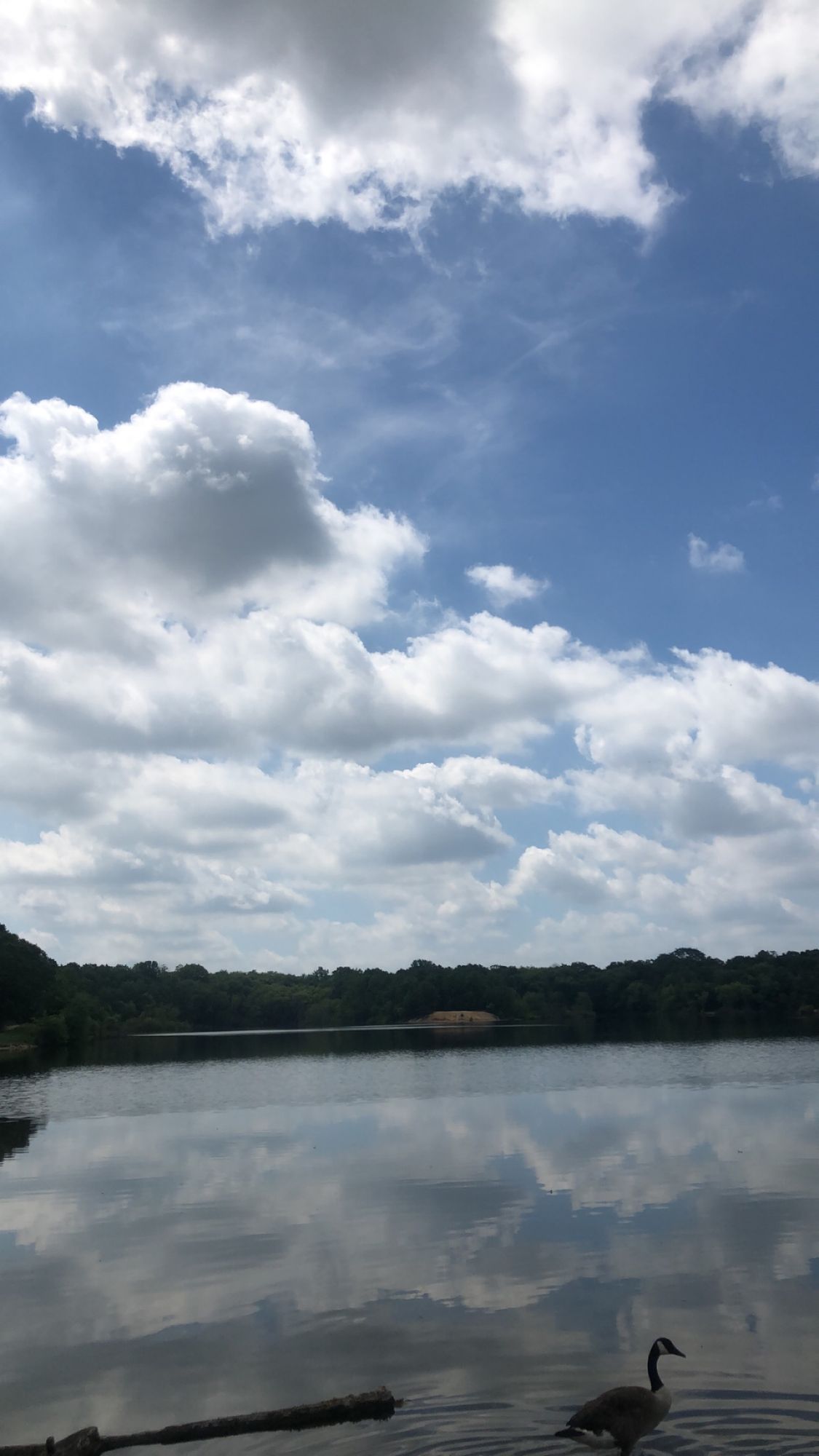 The lake from 18