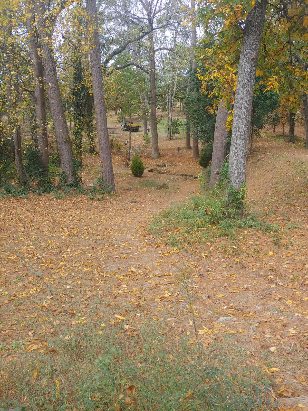 Hole #4 Tee