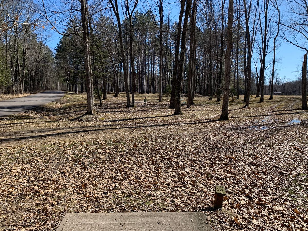 Hole 7 tee (long)