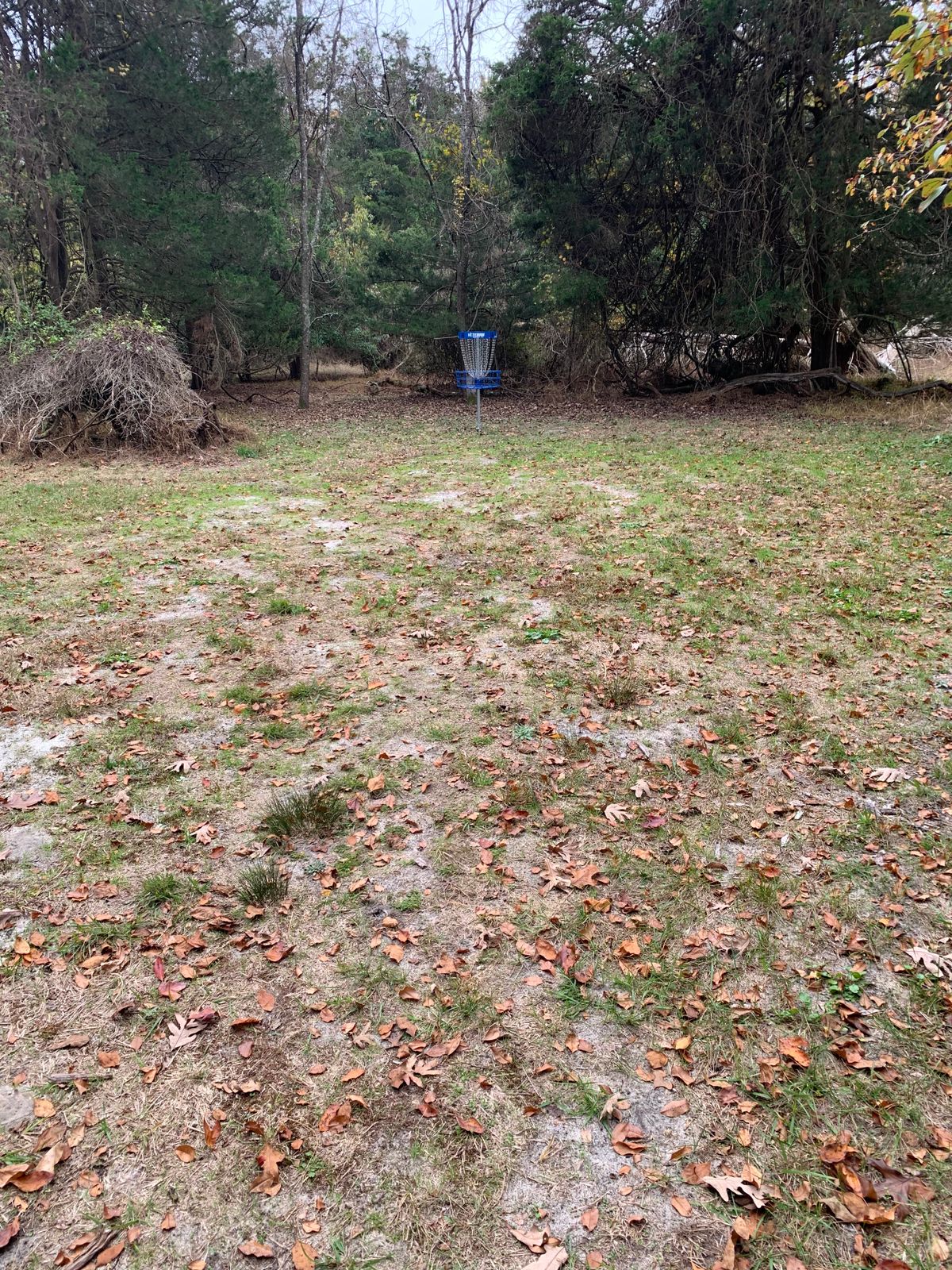 This is a hole 7 - a hidden basket , very fun