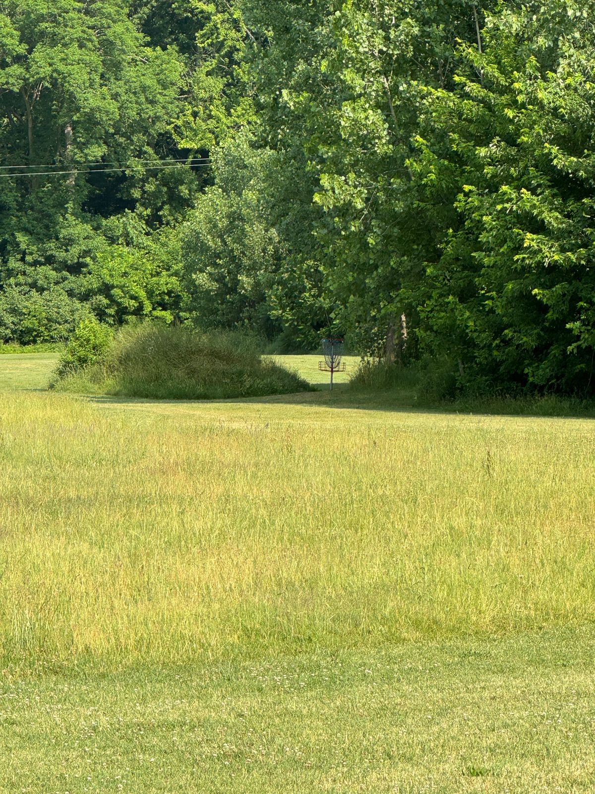 Raised mound near basket