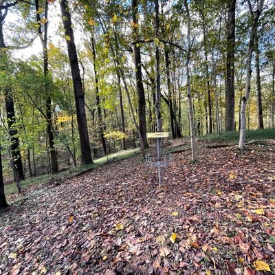 Hole 2 basket