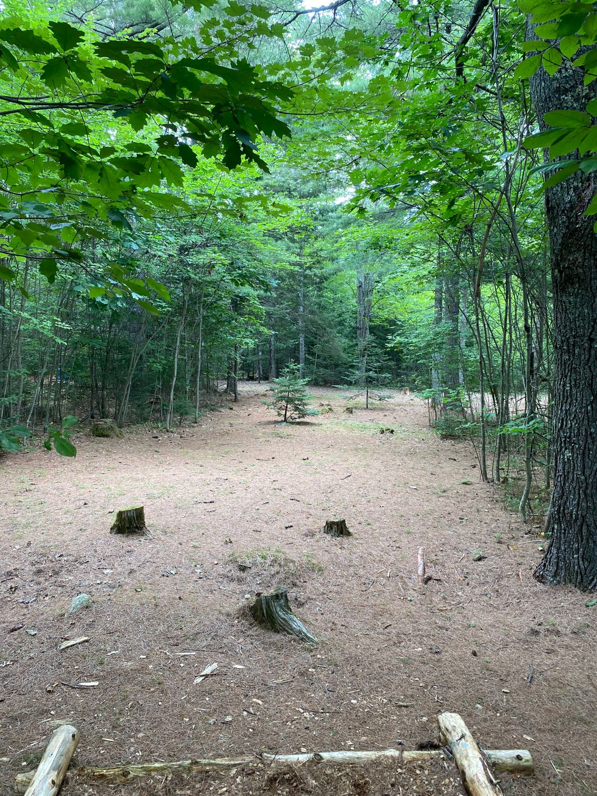 Hole 5