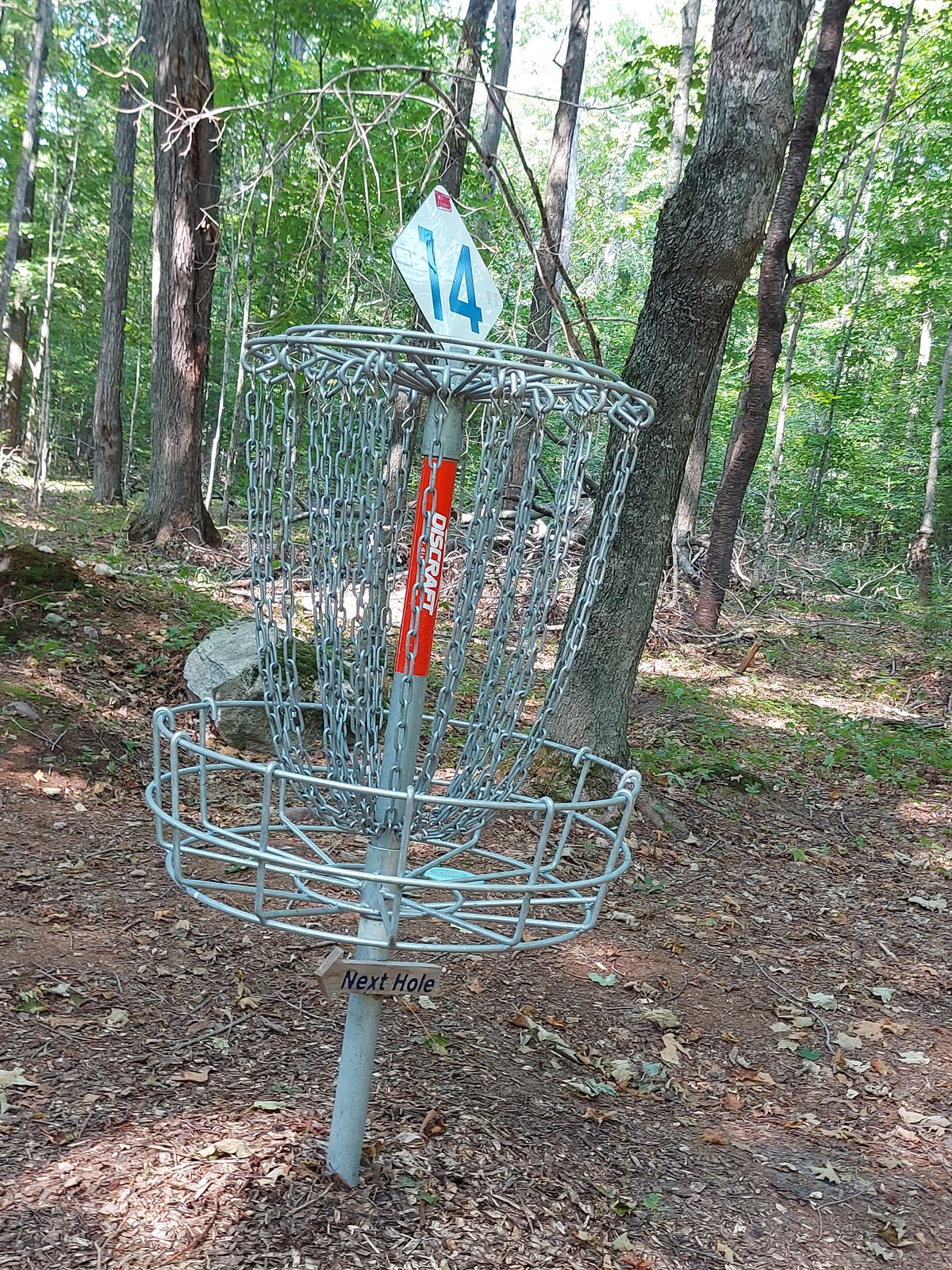 Putting on hole 14.🍂🪵🍃🪵