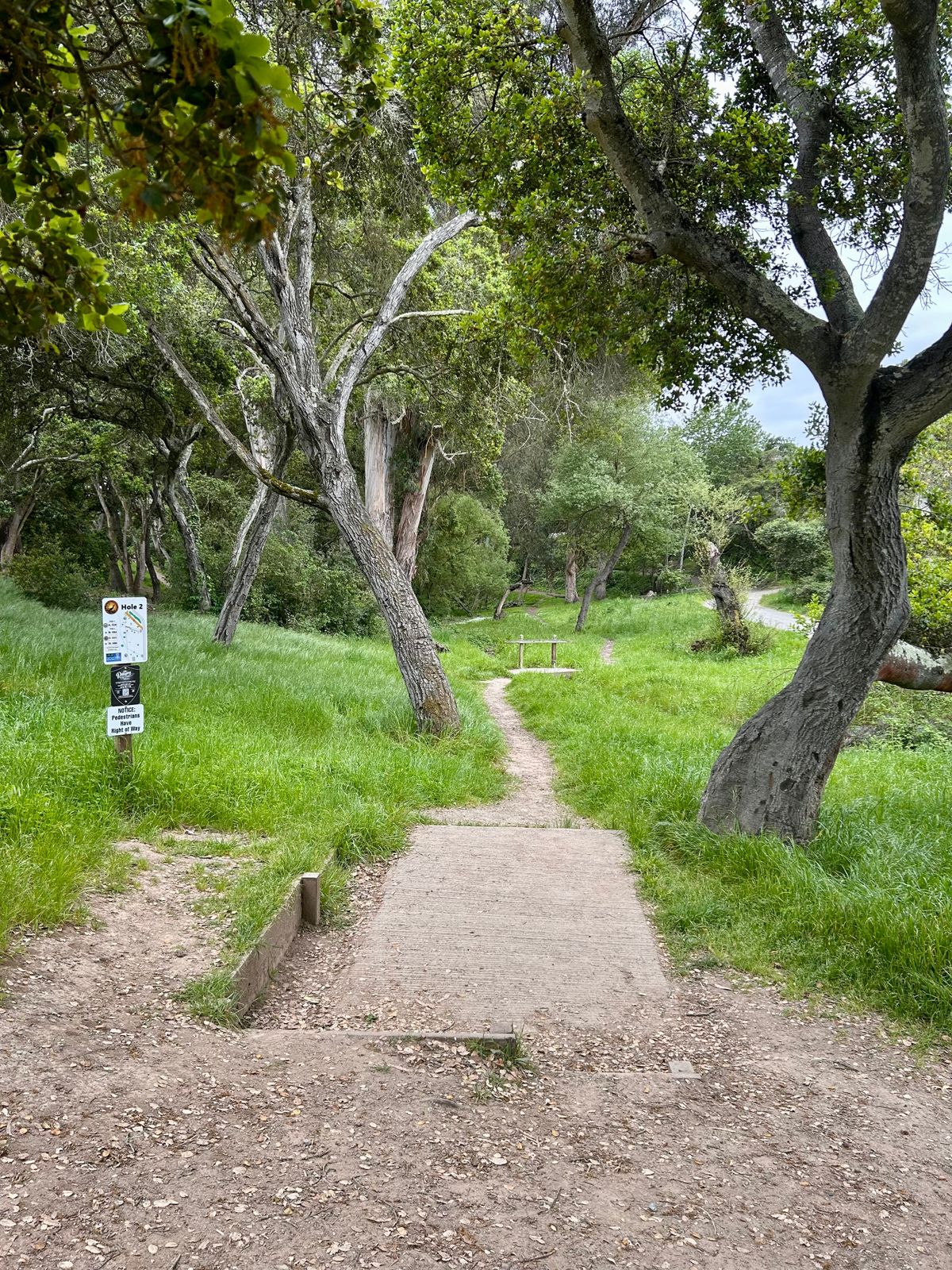 Hole 2