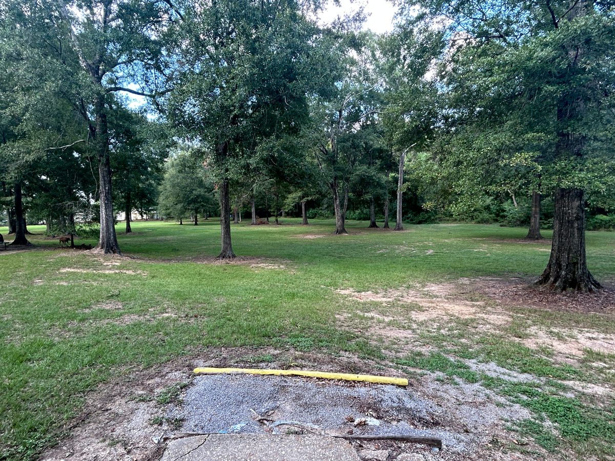 Hole 2 Fairway