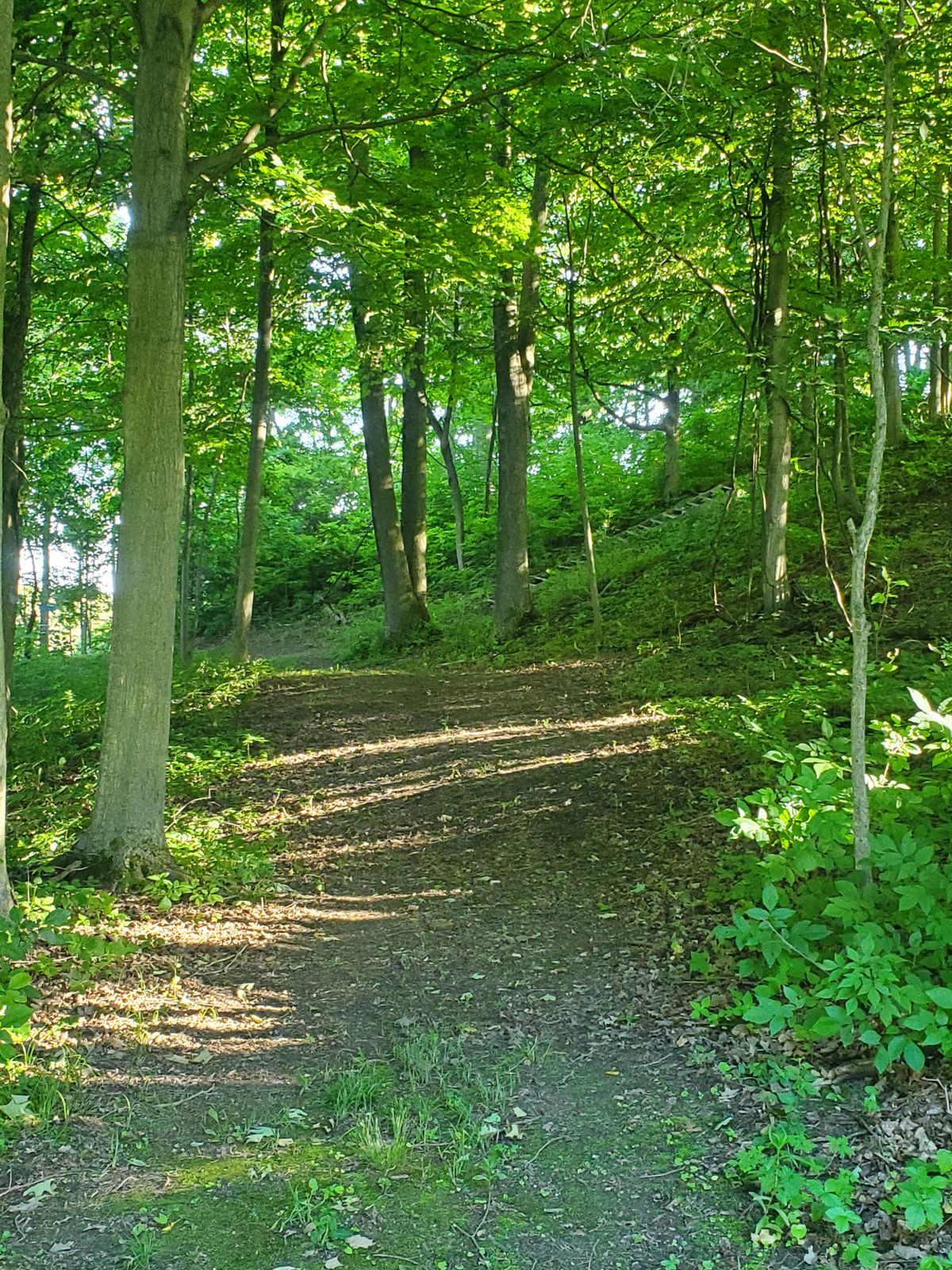 Hole 15 tee