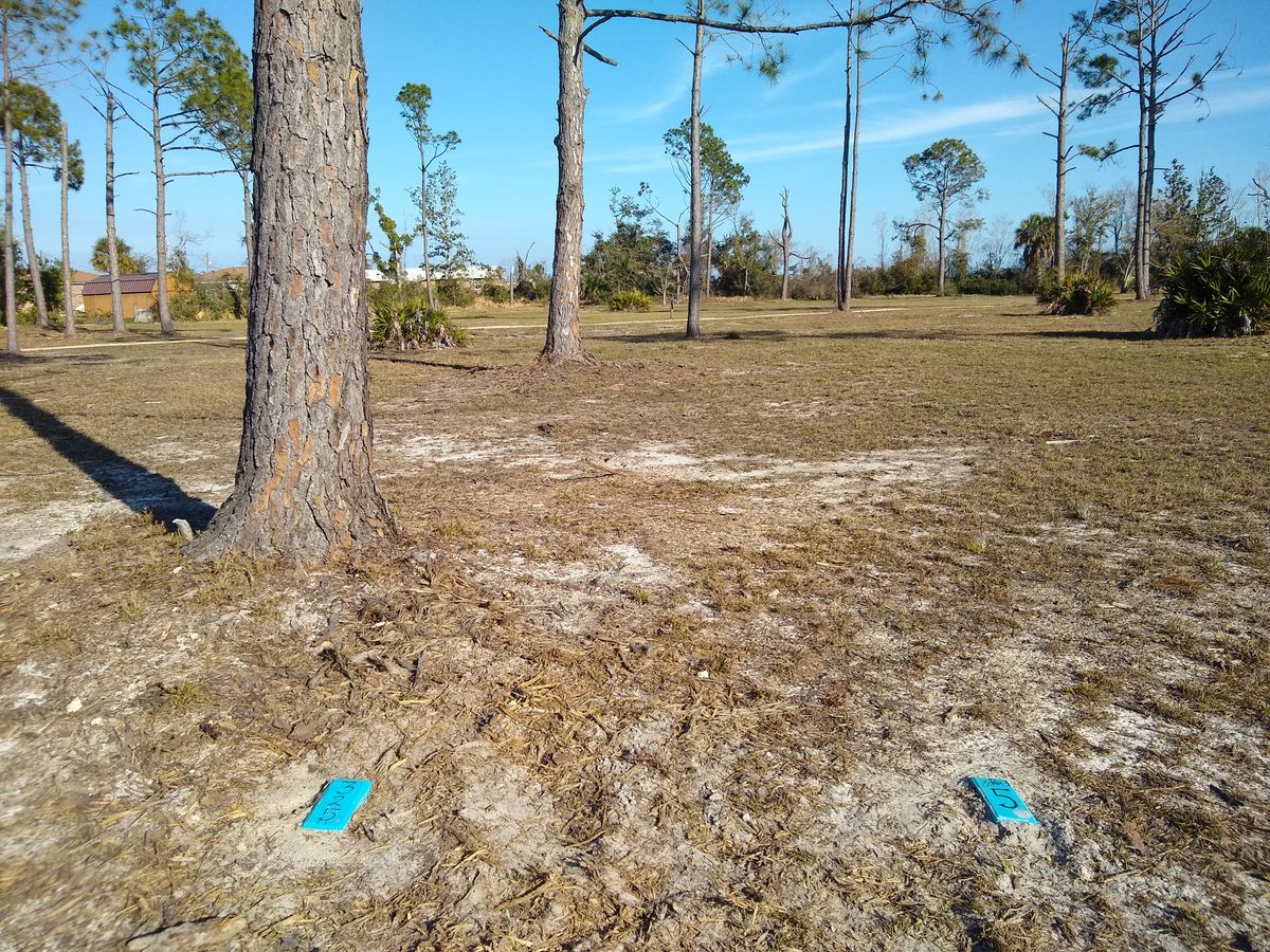 #5, par 3, 325ft