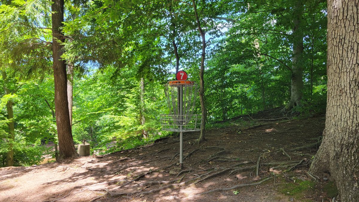 Hole 7 B Pin