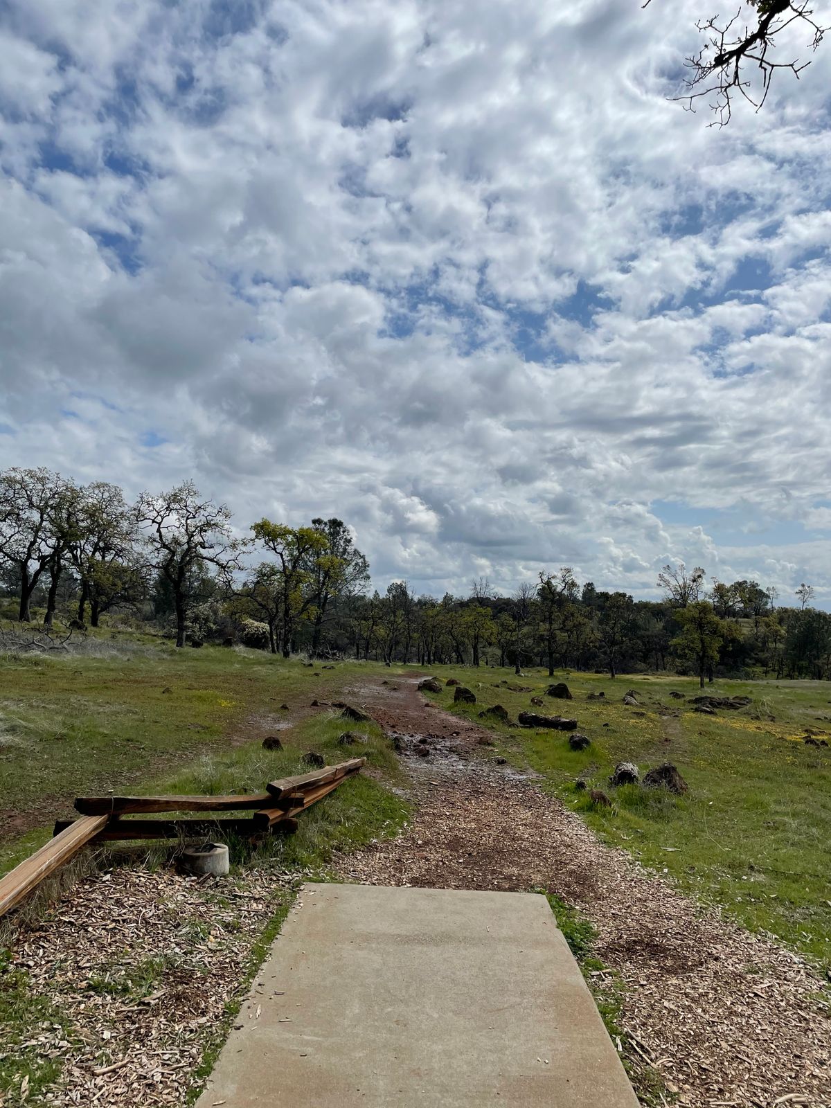 Teepad hole 9
