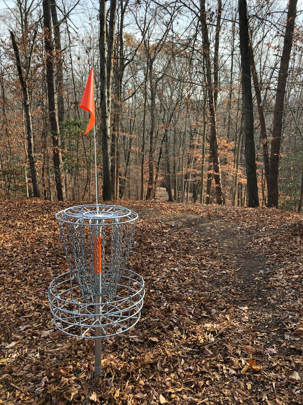 Hole 9 basket (looking downhill toward tee)