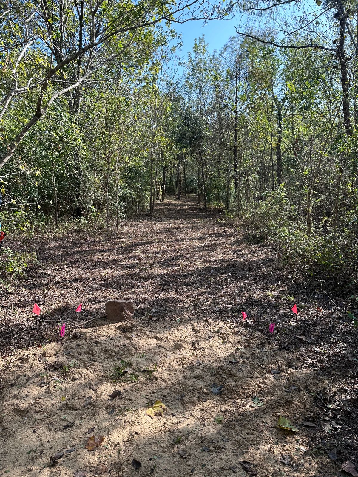 Hole 3 tee