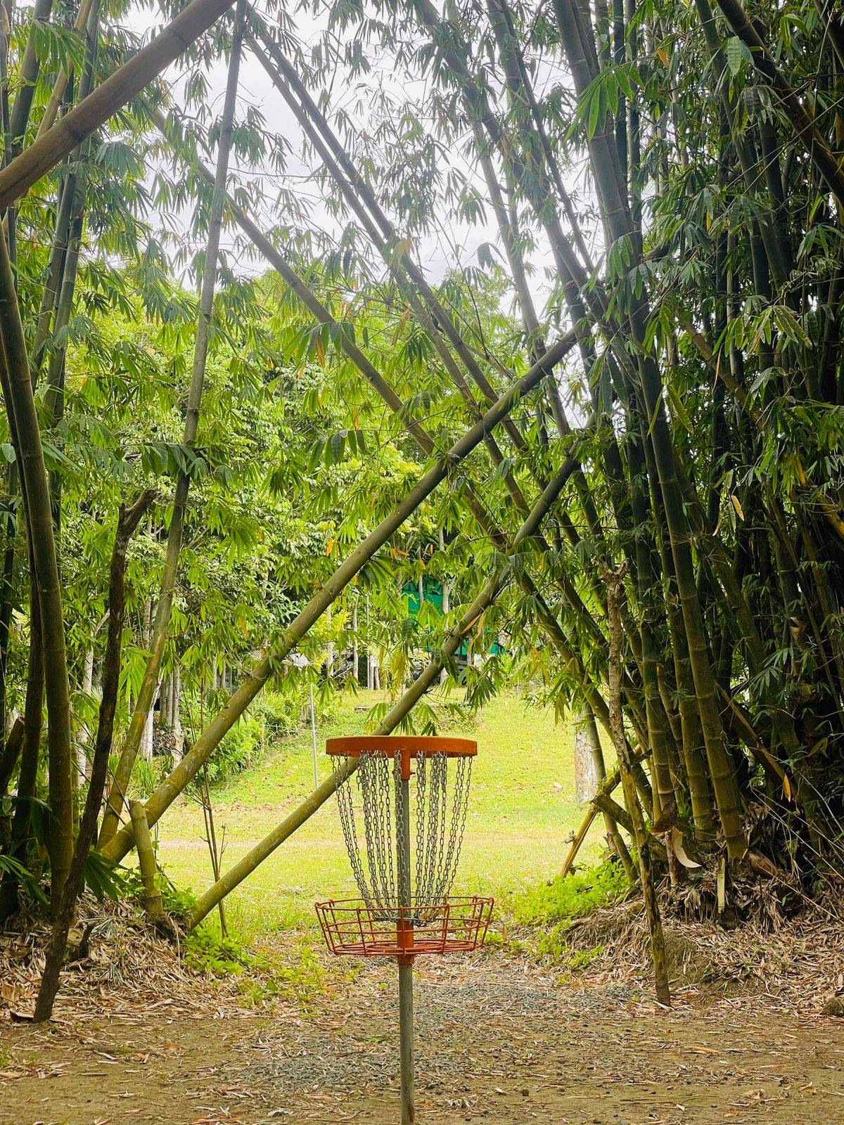 Hole 7. PAR 3. 215 ft.