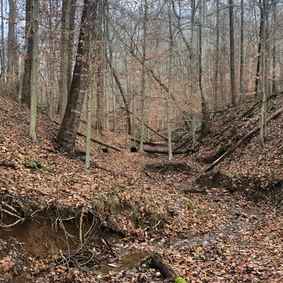 Hole 7 (Dec 2020)
