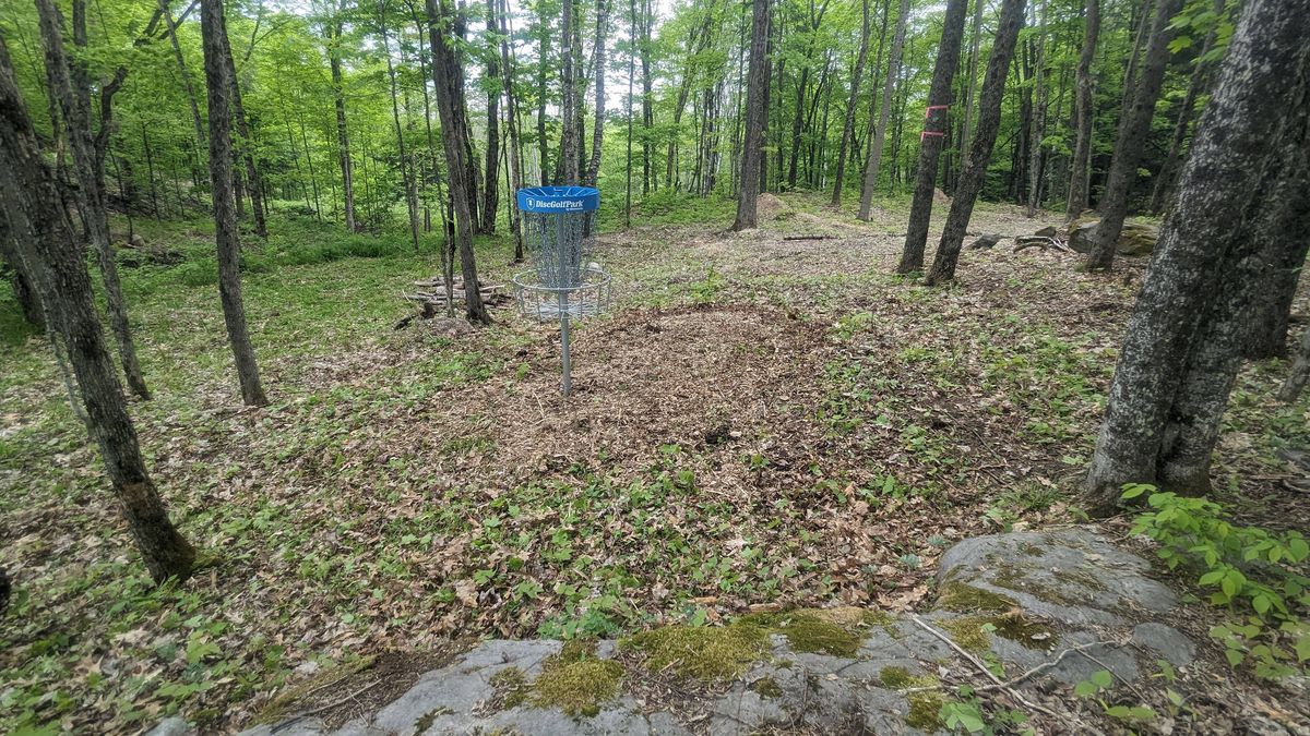 Hole 2 green