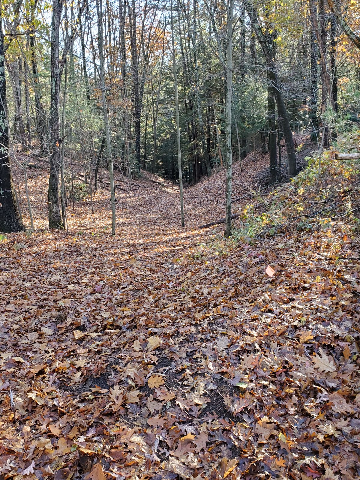 Hole 4