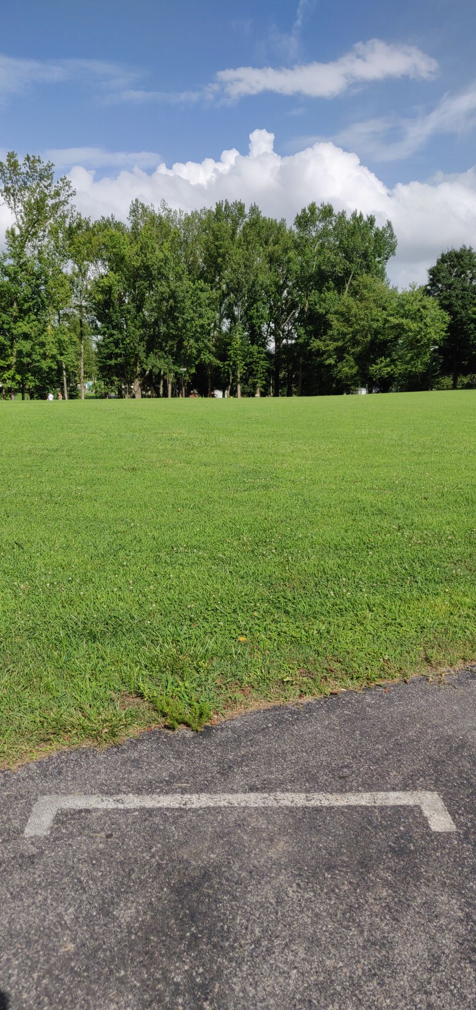 Hole 15 Purple Tee