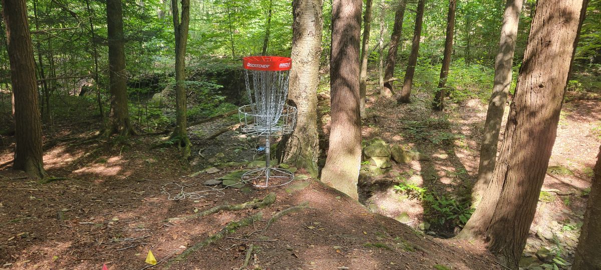 17 green
