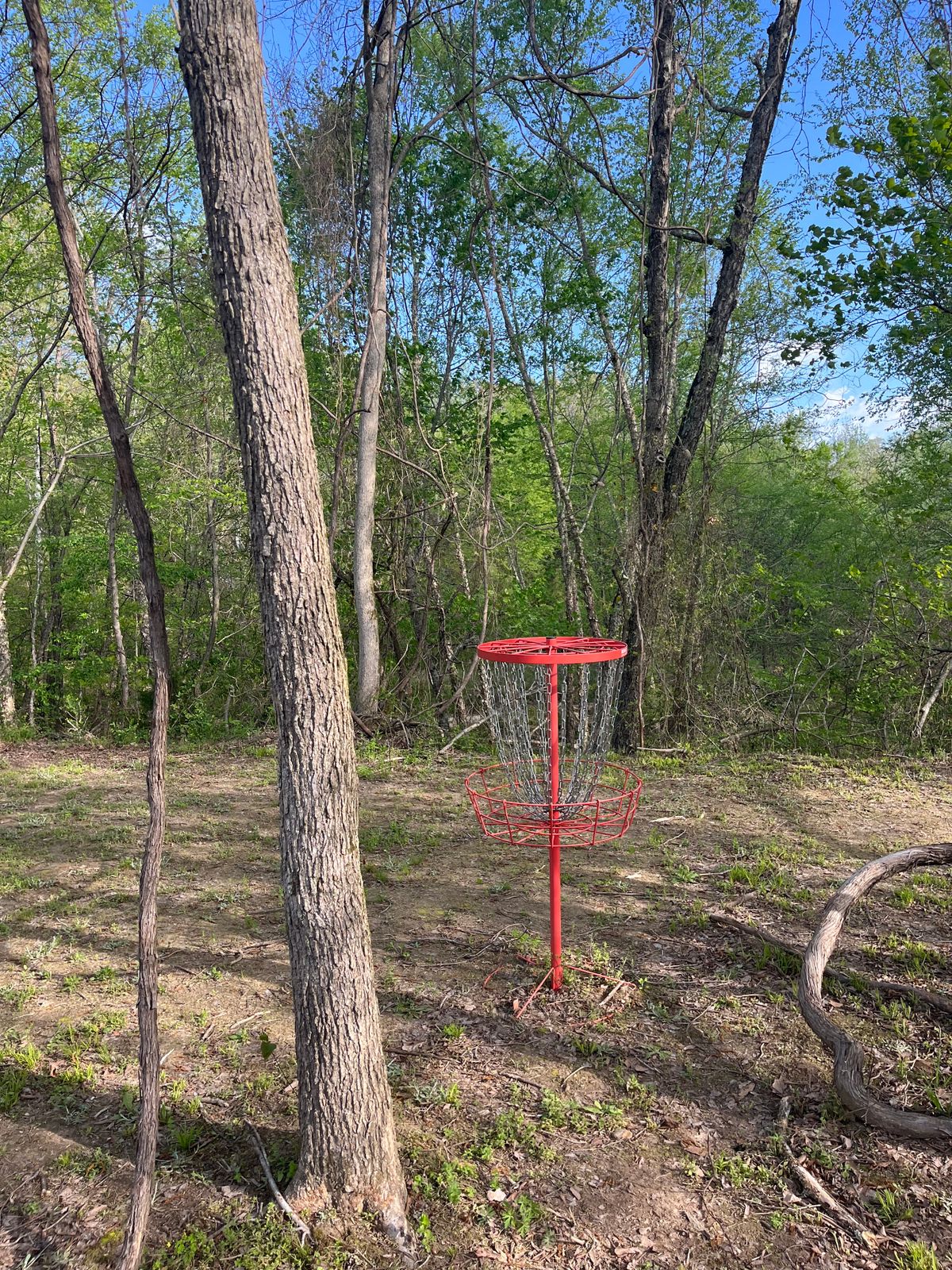 12’s basket