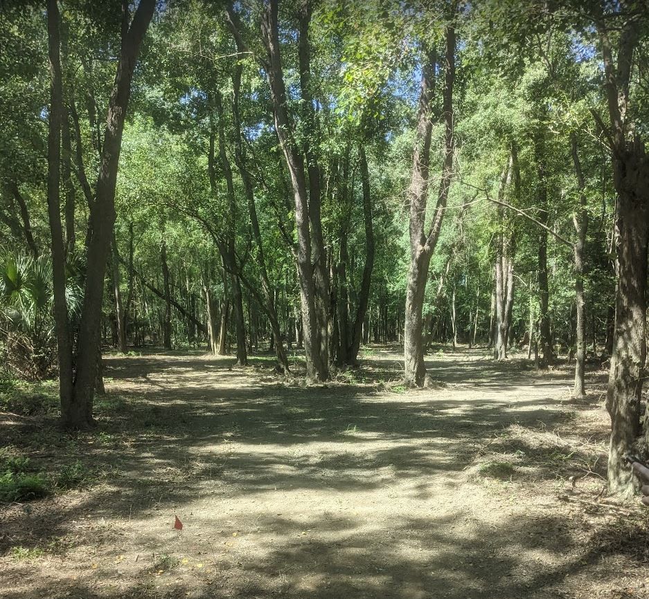 Hole 11 Red Tee