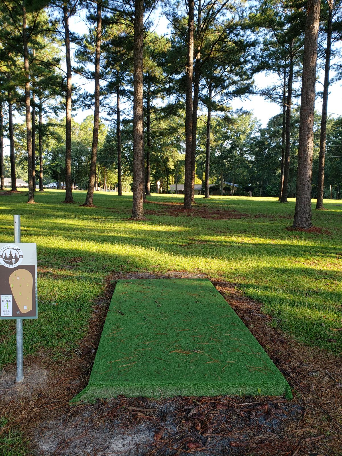 #4 Tee-Pad and Fairway,  missed "Acing" this one by 2 inches too low.