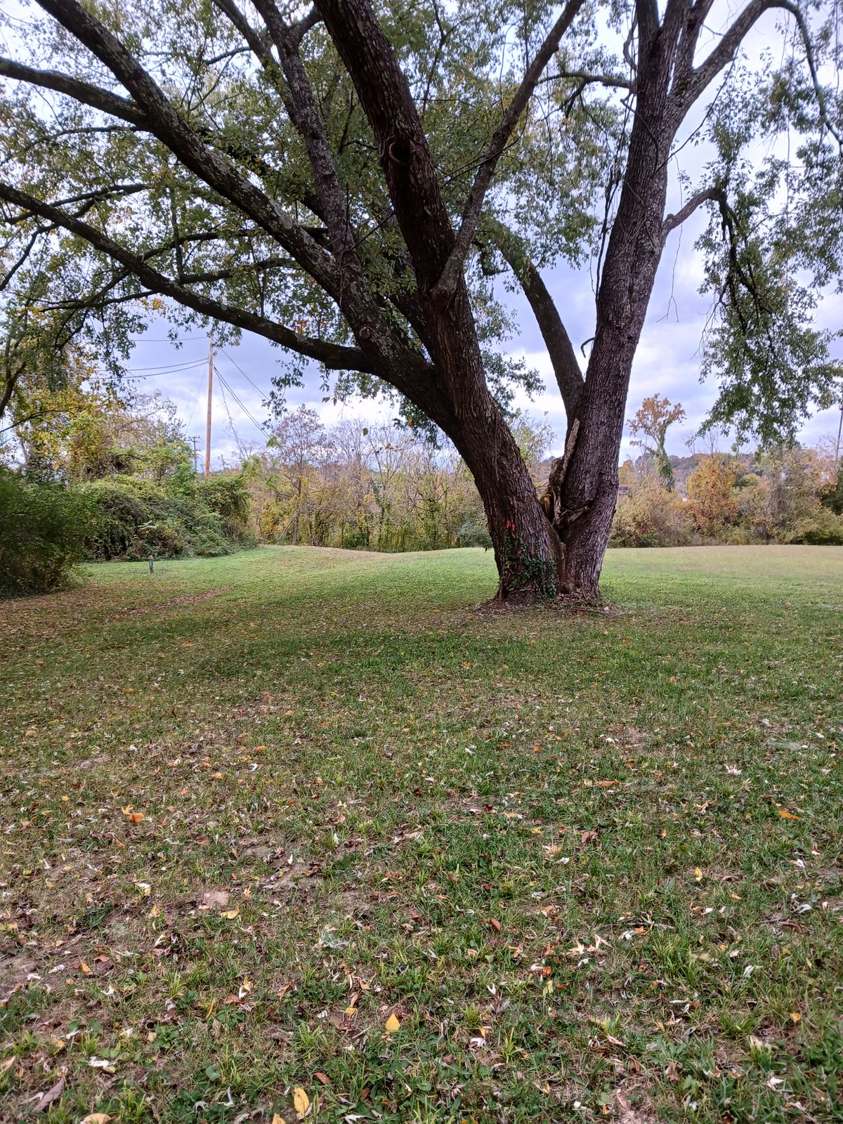 The view from tee box 3
