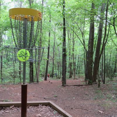 Hole 8