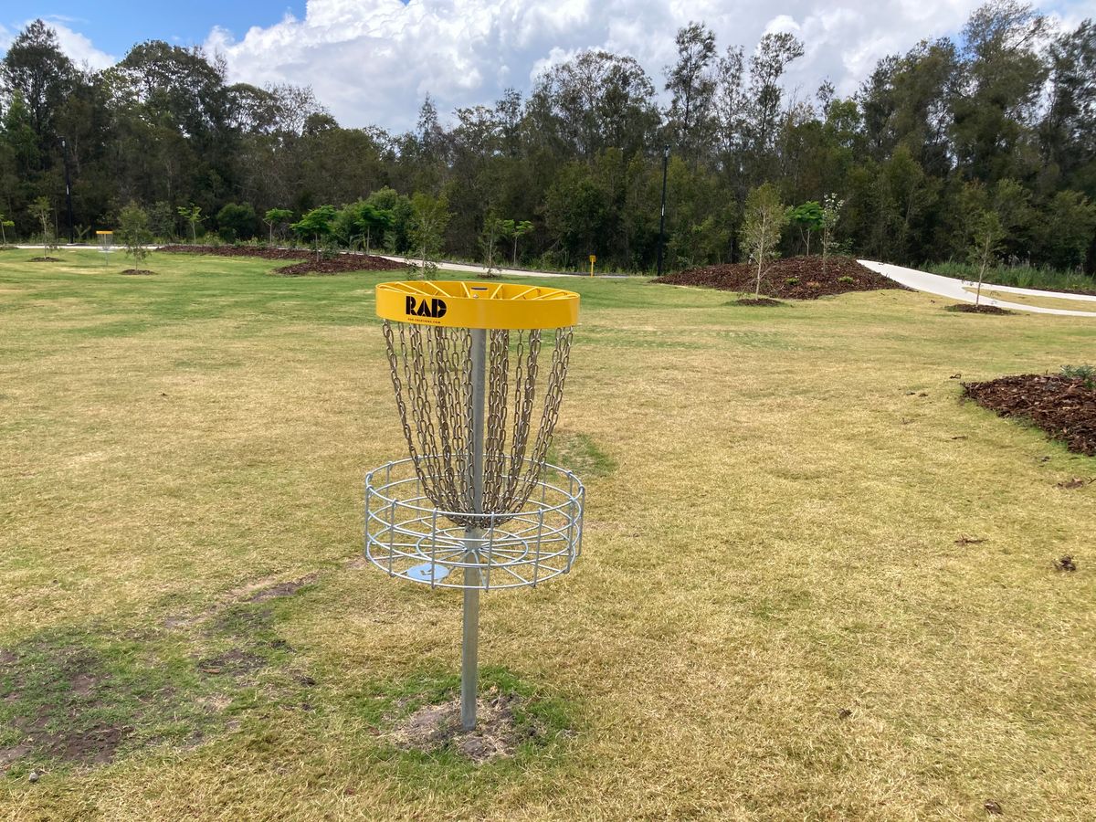 Hole 5 basket