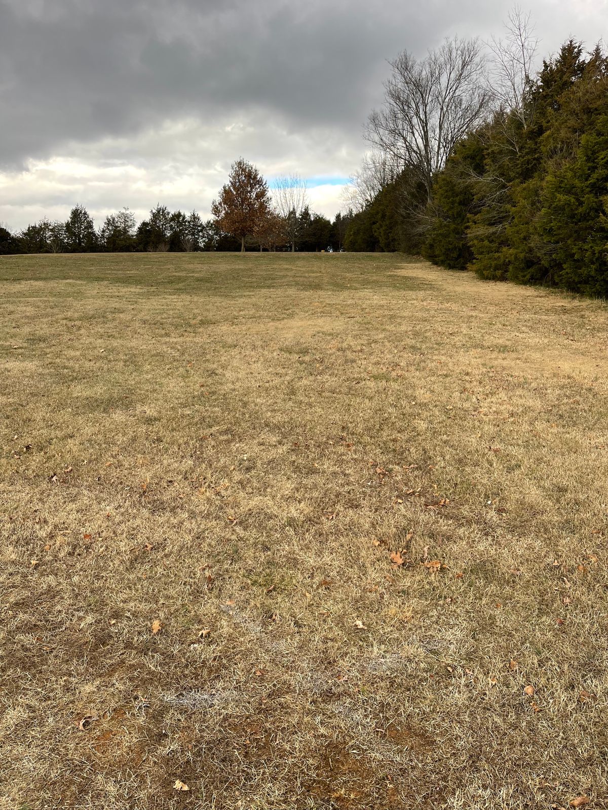 Hole 8