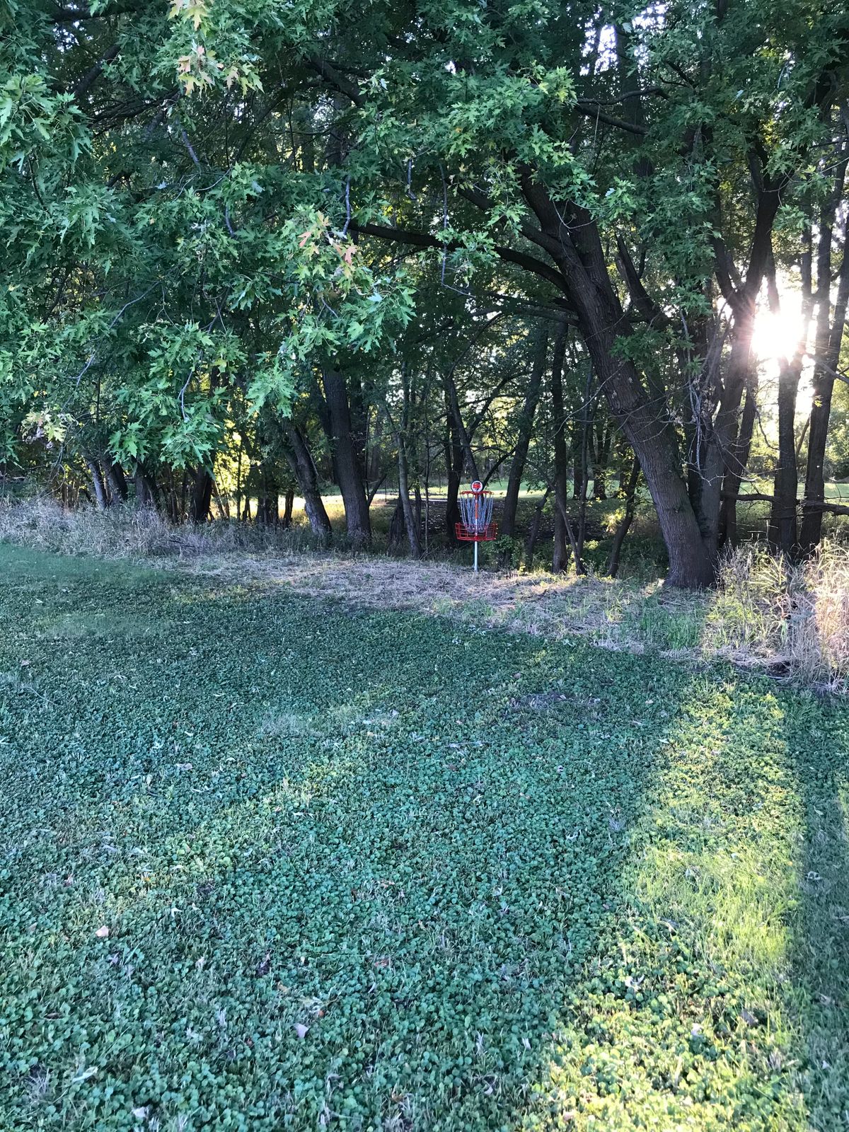 Hole 15 Looking at Basket